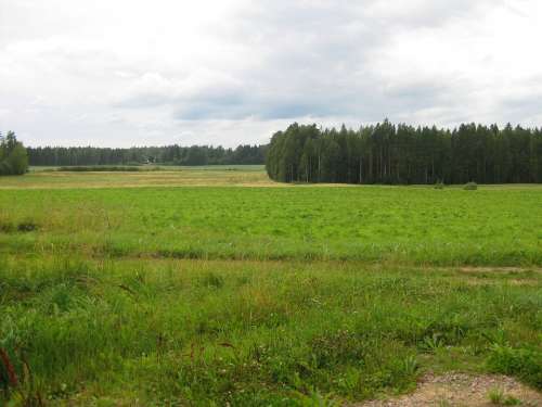 Summer Landscape Forest Field Sky Green Finnish