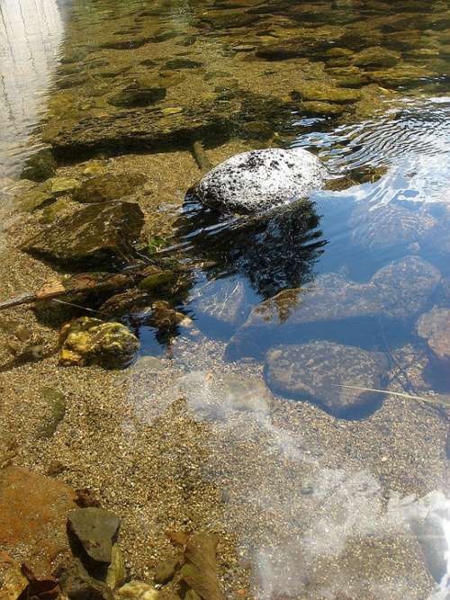 Summer River Stone Sun Reflection Weir