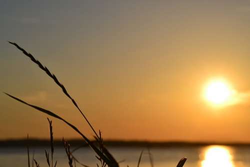 Summer Evening Water Sunset Finnish Nature Reeds