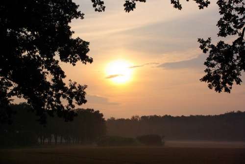 Sun Fog Morning Greeting Nature Field Forest