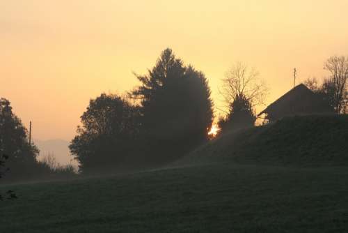 Sun Morning Meadow