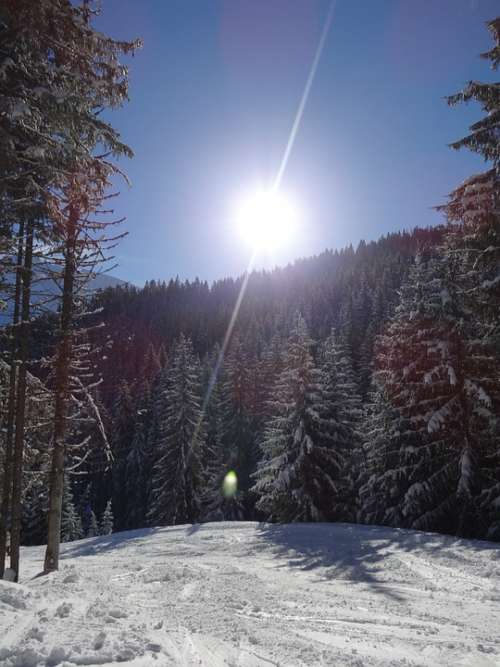 Sun Rays Landscape Snow Winter Mountain Alps