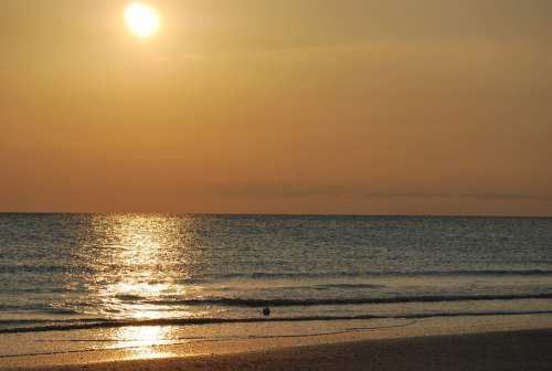 Sun Sunset Beach Yellow Outdoors Ocean Sky