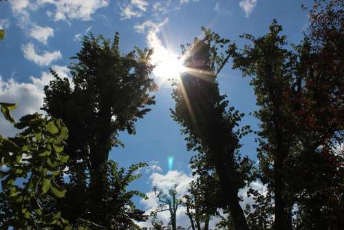 Sun Blue Sky Clouds Landscape Sky Nature