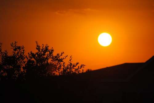 Sun Sunset Silhouette Orange Sky Evening Dusk