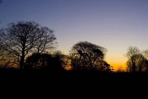 Sundown Sunset Trees Tree Silhouettes Sky