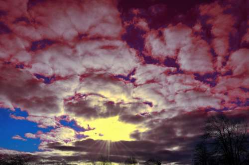 Sunrise Clouds Sky Red Blue Nature Morning Tree