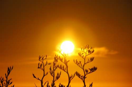 Sunrise Sun Grass Aperture Orange Sky