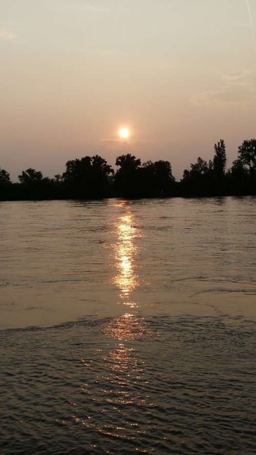 Sunrise Nierstein River Sun Mood Water