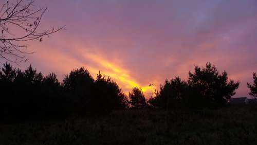 Sunrise Purple Skies Morgenstimmung Atmosphere