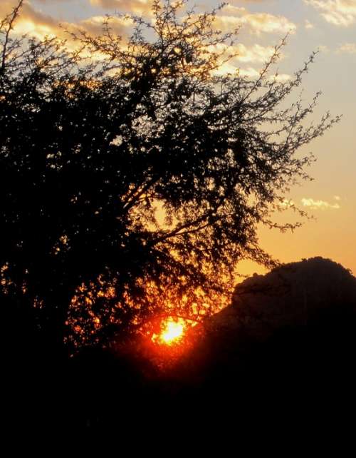 Sunset Cloud White Streky Sun Orb Bright Halo