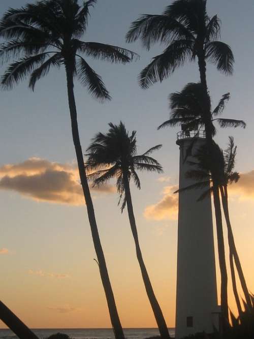 Sunset Palms Lighthouse Hawaii Maritime Landscape