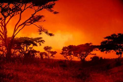 Sunset Africa Landscape Red Setting Sun Fiery