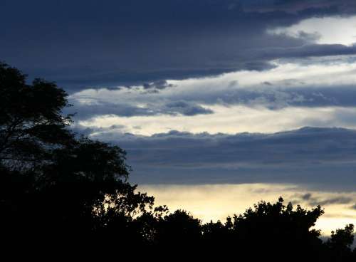 Sunset Clouds Streaks Dark Blue Gold Light Trees