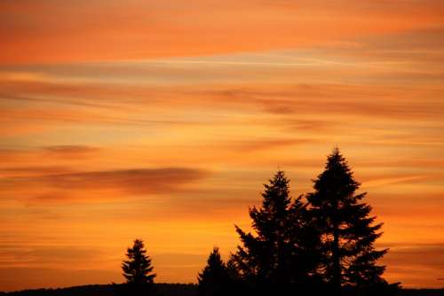 Sunset Sky Afterglow Trees Silhouette
