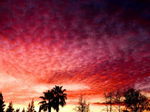 Sunset Sky Clouds Colors Colorful Pink Purple