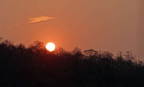 Sunset Glow Forest Tattihallia Karnataka India