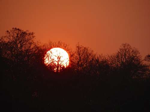 Sunset Glow Forest Tattihallia Karnataka India