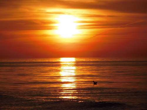 Sunset Sun Sea
