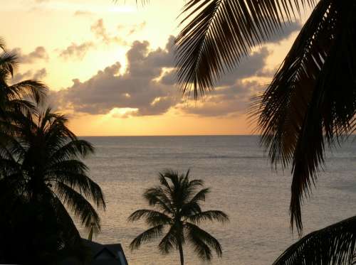 Sunset Clouds Sky Golden Sunset Sundown Sea Ocean