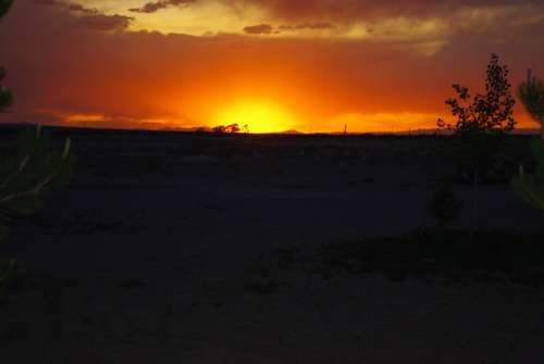 Sunset Golden Sunset Landscape Golden Glow