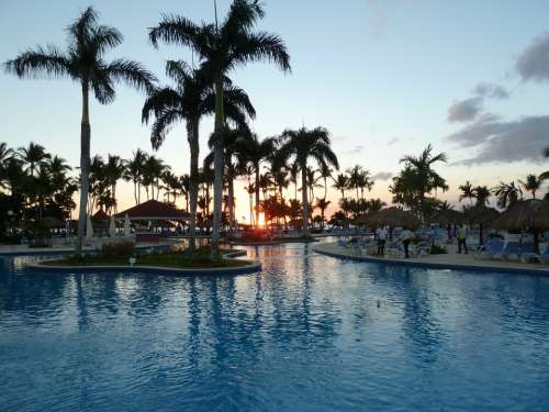 Sunset Swimming Pool Palm Trees Holiday Tourism