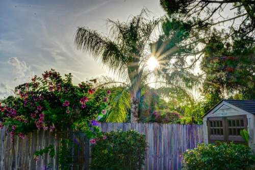 Sunset Fence Shed Flowers Landscape Countryside