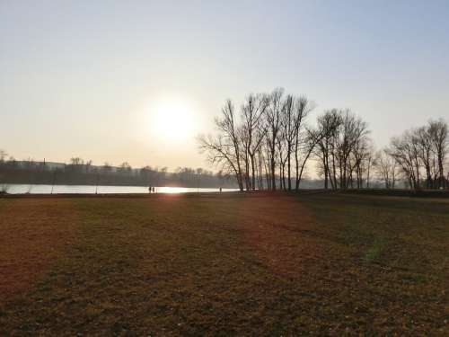 Sunset Field Riverside Trees Backlighting