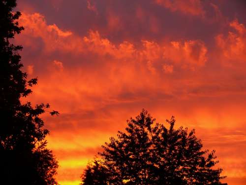 Sunset Red Sky Clouds Orange Mood Evening