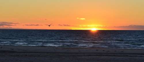 Sunset Sea Sky Ocean Beach Sun Summer Landscape