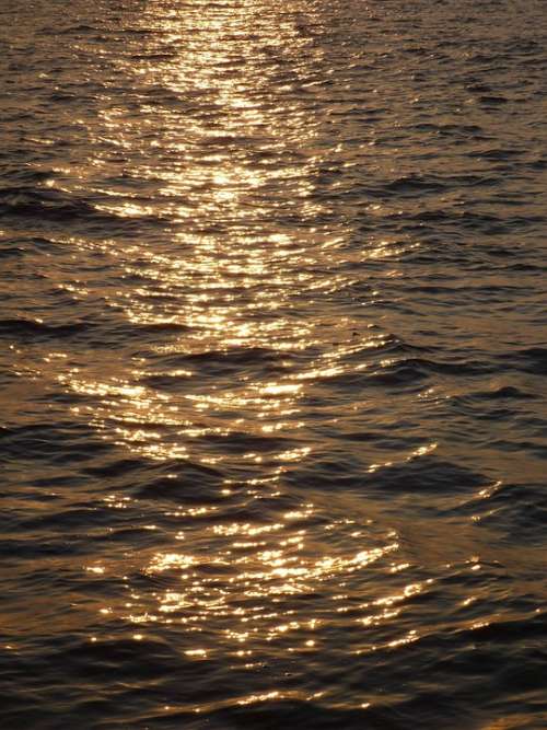 Sunset Sea Water Waves Calm Reflexions Ripples
