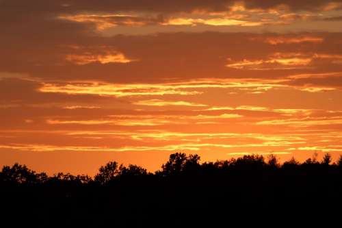 Sunset Edge Of The Woods Sky