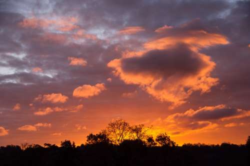 Sunset Sky Pink Orange Blue Clouds Horizon Trees