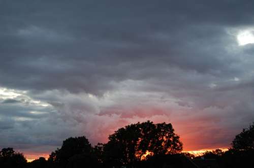 Sunset Cloud Vein
