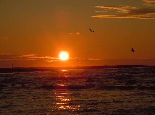 Sunset Sea Sunlight Gulls Evening