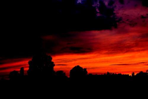 Sunset Cloud Night Storm Sky Tree