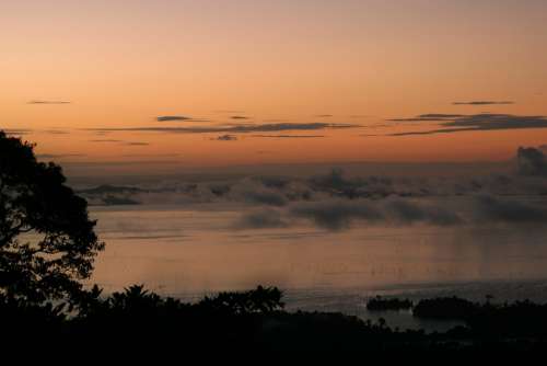 Sunset Jungle Fog Suriname