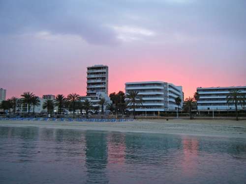 Sunset Hotels Sea Beach Palm Trees Majorca Spain