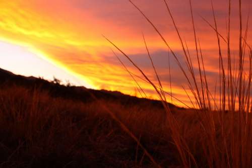 Sunset Grass Sky Field