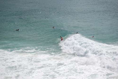 Surfer Surfing Waves Sea Ocean Water Coast Sun