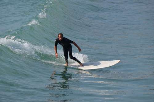 Surfer Watersports Sports Ocean Wave