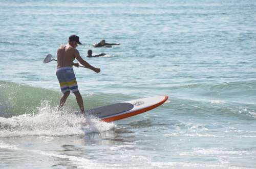 Surfing Paddle Board Ocean Man