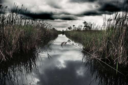 Swamp Water Clouds