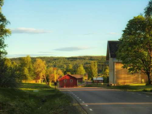 Sweden Fall Autumn Sky Clouds Forest Trees Road