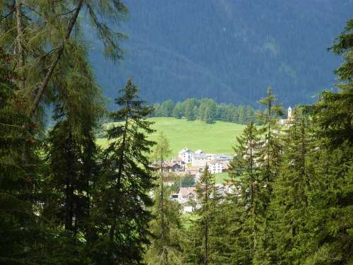 Switzerland Graubünden Lenz Landscape Meadow