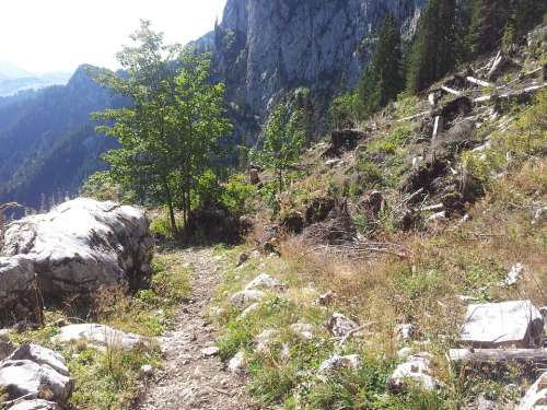 Switzerland Simmental Walop Trail Lothar