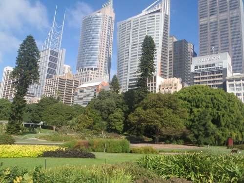 Sydney Australia Cities Sydney Botanic Garden