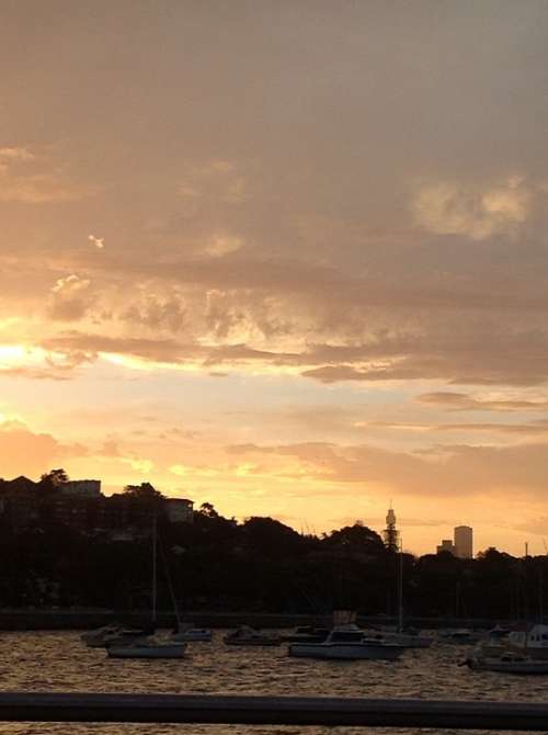 Sydney Sky Sunset Harbour Clouds Water Evening