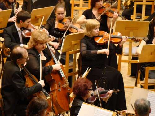 Symphony Orchestra Concert Philharmonic Hall Music