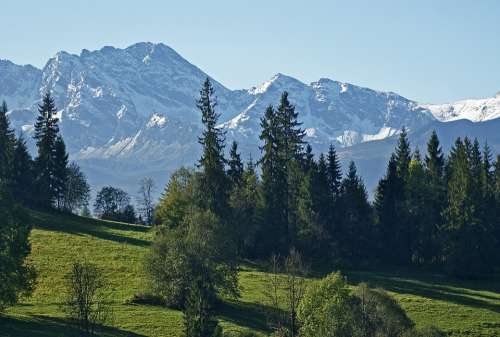 Tatry The High Tatras Meadow Forest Landscape